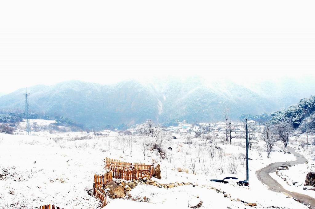 산향기의속리여행